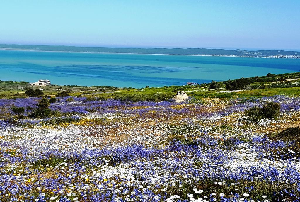 Lekkerplek Villa Langebaan Bagian luar foto